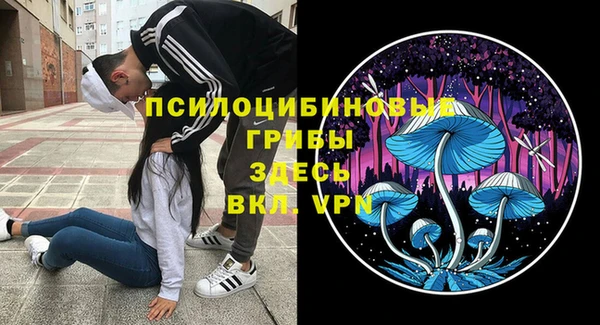 MESCALINE Елабуга