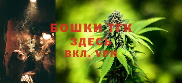 молекула духа Елизово