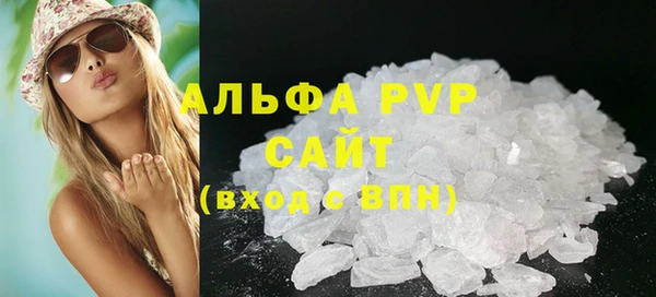 трава Ельня