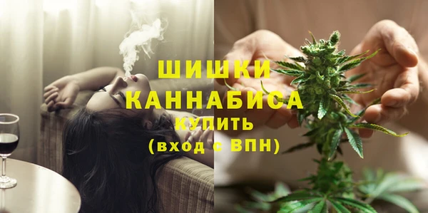 трава Ельня