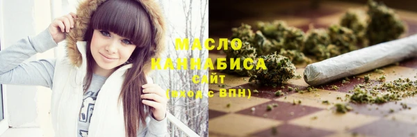 молекула духа Елизово