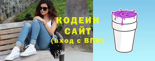 трава Ельня