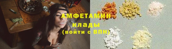 молекула духа Елизово