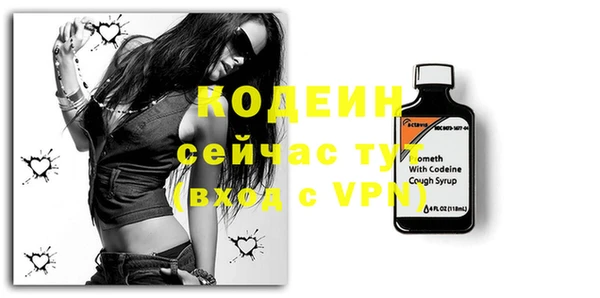молекула духа Елизово