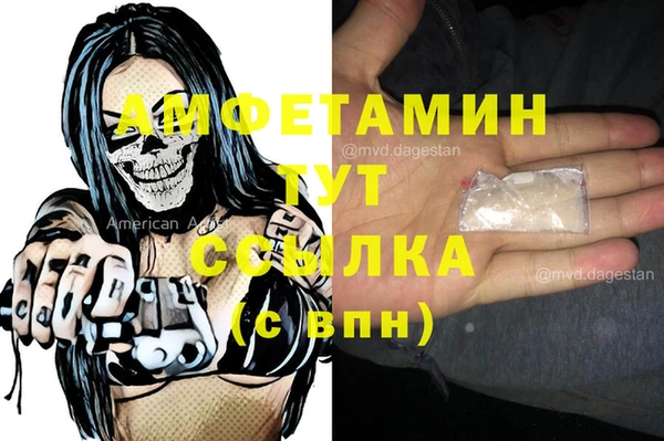 молекула духа Елизово