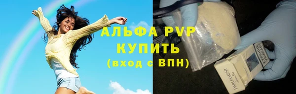 молекула духа Елизово