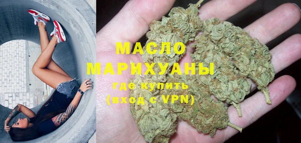 трава Ельня