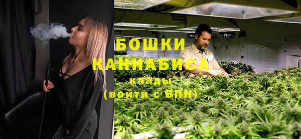 молекула духа Елизово
