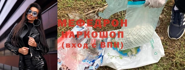 трава Ельня