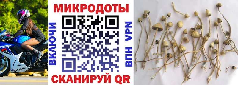 Галлюциногенные грибы ЛСД  Купить  Приволжск 